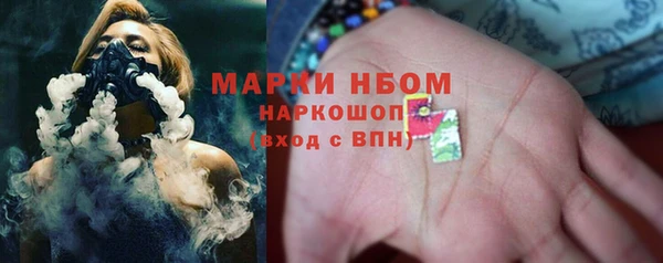 шишки Балахна