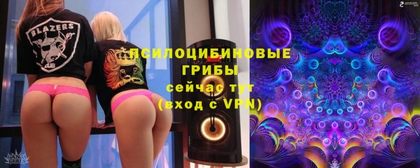 шишки Балахна